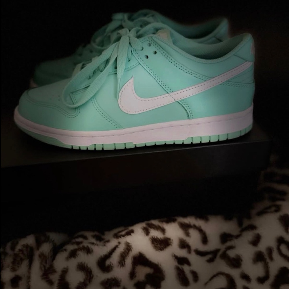 Nike Aqua Green and White Sneakers